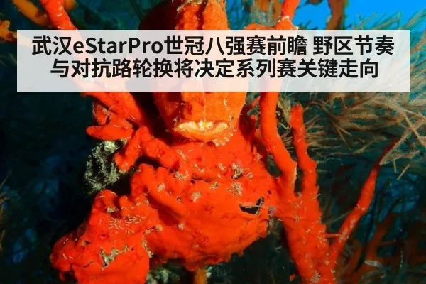 武汉eStarPro世冠八强赛前瞻 野区节奏与对抗路轮换将决定系列赛关键走向 - j9.com